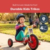image:imageAngeles Toddler Bike with Airless Rubber Tires SilverRider 4 yrs and up  Big Wheel Toddler Tricycle with 55 Tall Seat amp Spokeless Tires RustResistant Kids Bike for Preschools and DaycareSilverrider  4 Yrs and Up